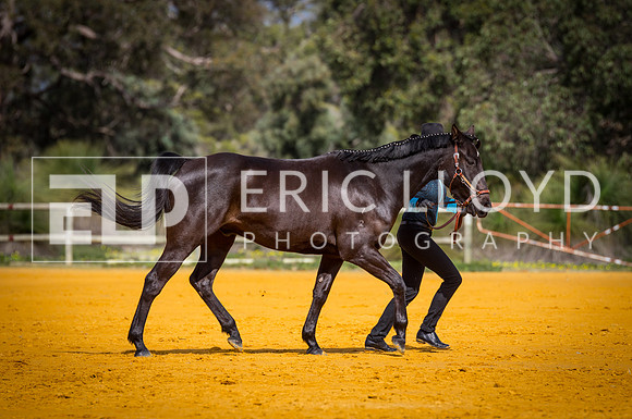 untitled-0496