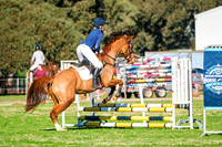 DSCF0318