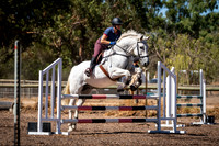 Taminga Training 95cm
