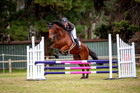 DSCF6525