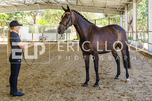 IMGP6536