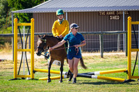IMGP3289