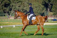 IMGP1387