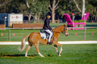 IMGP1368