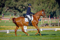 IMGP1391