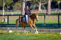 IMGP1374