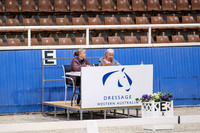 07A  Competitive Pony Prelim 1.1