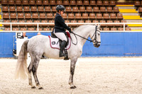 10 Competitive Novice 2.2 Horse