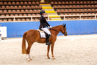 10A Competitive Novice 2.2 Pony