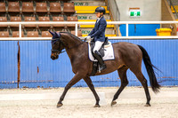 11 Comp Elementary 3.1 Horse