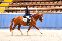 12A Compe Elementary 3.2 Pony