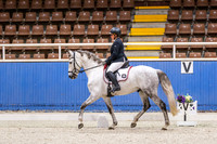 7 Competitive Prelim 1.1 Horse