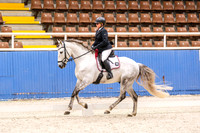 8 Competitive Prelim 1.2 Horse