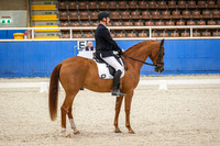 9 Competitive Novice 2.1 Horse