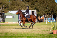 DSC08550