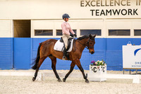 13 Competitive Medium 4.1 Horse