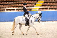 13A Competitive Medium 4.1 Pony