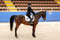 15 Comp Advanced 5.1 Horses