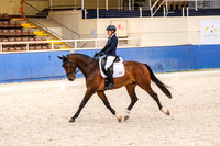 12 Comp Elementary 3.2 Horse