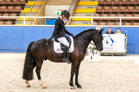 14A Competitive Medium 4.2 Pony
