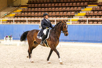 16 Comp Advanced 5.2 Horse
