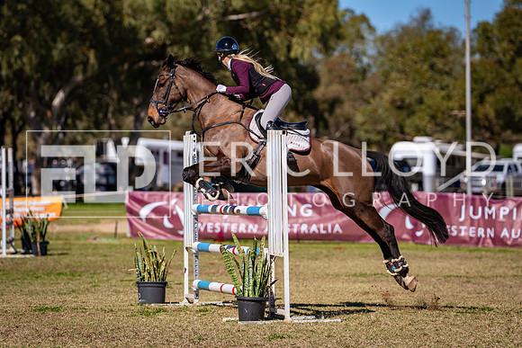 DSC06852