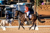 Dressage