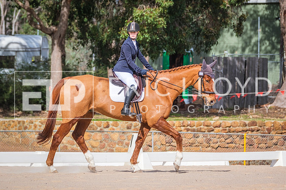 DSCF8471