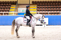 Comp Novice 2.2 Horse