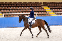 Comp Elementary 3.2 Horse
