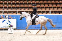 Comp Prelim 1.3 Horse
