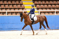 Comp Medium 4.1 Horse