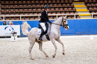 Comp Medium 4.1 Pony