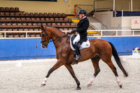 Intermediate B