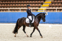Comp Medium 4.2 Pony