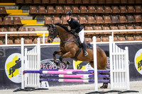 DSCF1226