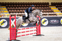 WASJA Indoor Show Jumping 8th August 2026