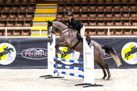 2. WASJA-Horseland Midland 80-90cm AM7