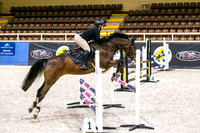 3. WASJA-Horseland Midland 95-1.04m