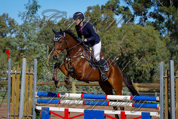 JessieLloyd-4991