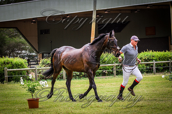 IMGP2765