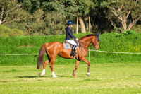 60cm Training