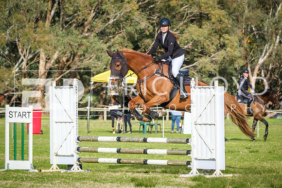 DSCF0249