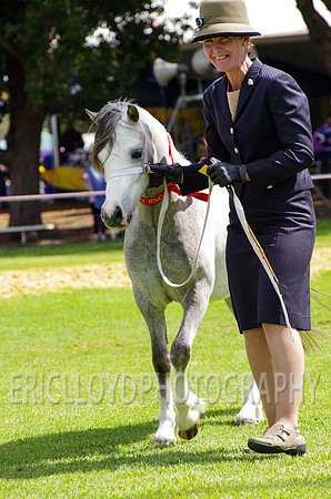 Jess-2905