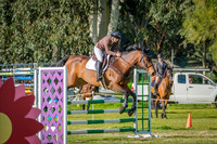 DSCF0222