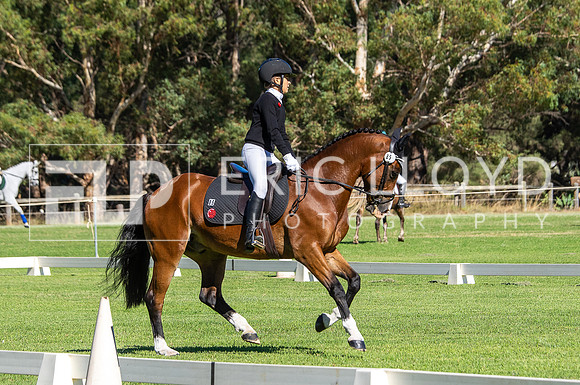 IMGP4765