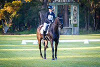 Dressage (Grass) 7.40 - 8.40am