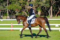 Dressage (Grass) 8.40am - 9.40am