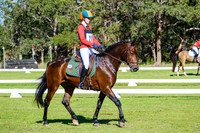 Dressage (Grass) 9.45am - 10.35am