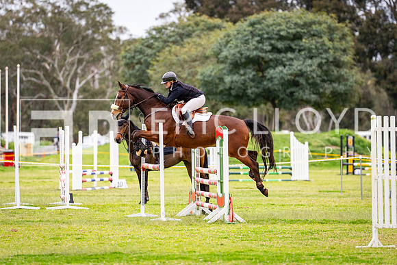 DSC08206